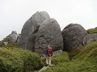 屋久島を歩く