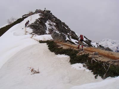 山旅（登山、トレッキング）で尾根を歩く