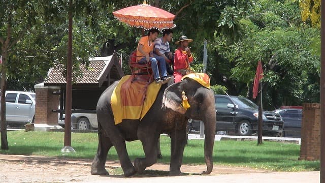 タイ・アユタヤの旅行や観光地、エレファント・キャンプ