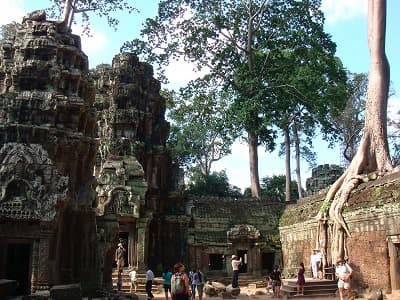 カンボジア・シェムリアップの旅行や観光地、タ・プローム