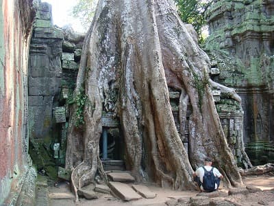 カンボジア・シェムリアップの旅行や観光地、タ・プローム