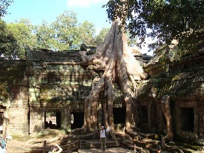 カンボジア・シェムリアップの旅行や観光地、タ・プローム