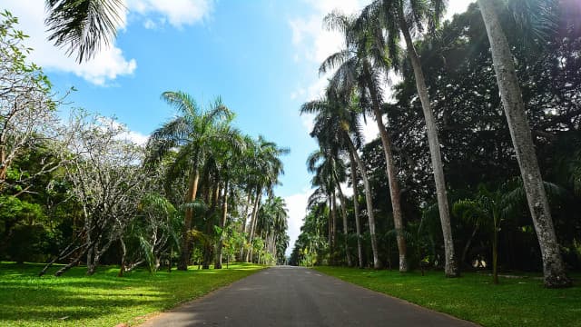 スリランカ・キャンディの旅行や観光地、ペラデニア植物園