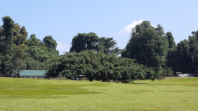 スリランカ・キャンディの旅行や観光地、ペラデニア植物園