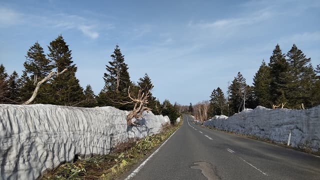 青森県青森市の旅行で訪れた観光名所、八甲田山南麓と雪の回廊