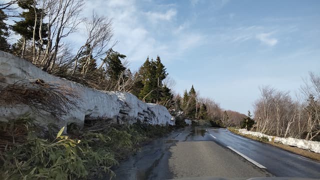 青森県青森市の旅行で訪れた観光名所、八甲田山南麓と雪の回廊