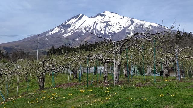 青森県弘前市の旅行で訪れた観光名所、岩木山