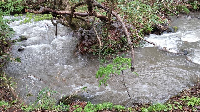 青森県弘前市の旅行で訪れた観光名所、大森勝山遺跡を流れる大石川