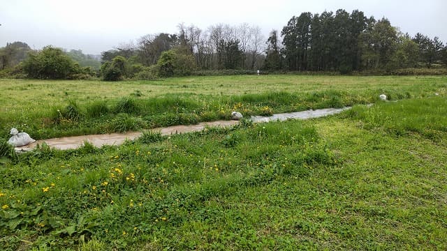 青森県つがる市の旅行で訪れた観光名所、田小屋野貝塚の竪穴建物・貝層跡