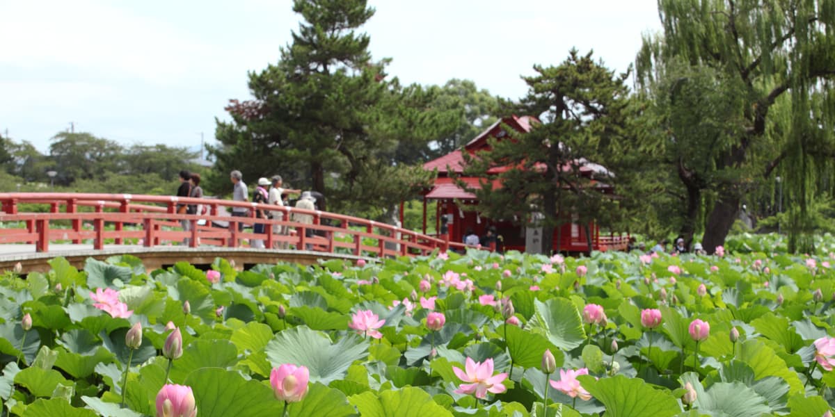 青森県平川市の旅行で訪れた観光名所、猿賀公園