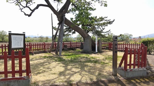 青森県南津軽郡の旅行で訪れた観光名所、唐糸御前史跡公園の唐糸塚