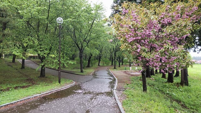 青森県北津軽郡の旅行で訪れた観光名所、津軽富士見湖の散歩道