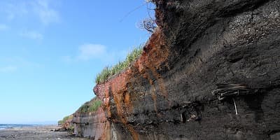 青森県つがる市の旅行で訪れた観光名所、最終氷期埋没林