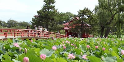 青森県平川市の旅行で訪れた観光名所、猿賀公園と猿賀神社