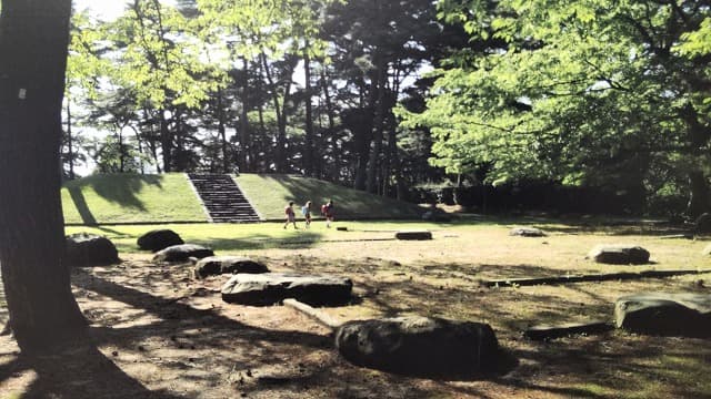 宮城県多賀城市の旅行で訪れた観光名所、多賀城廃寺跡