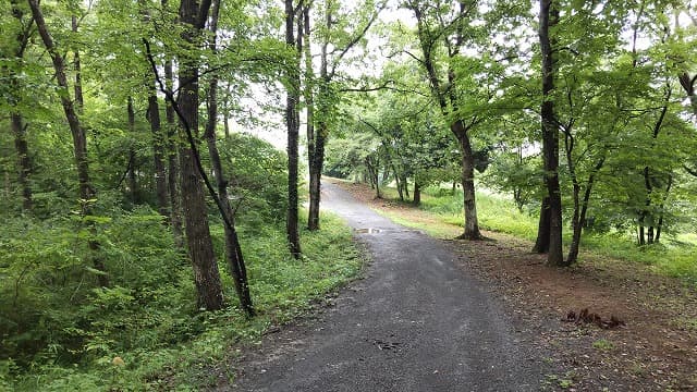 宮城県亘理郡の旅行で訪れた観光名所、三十三間堂官衙遺跡