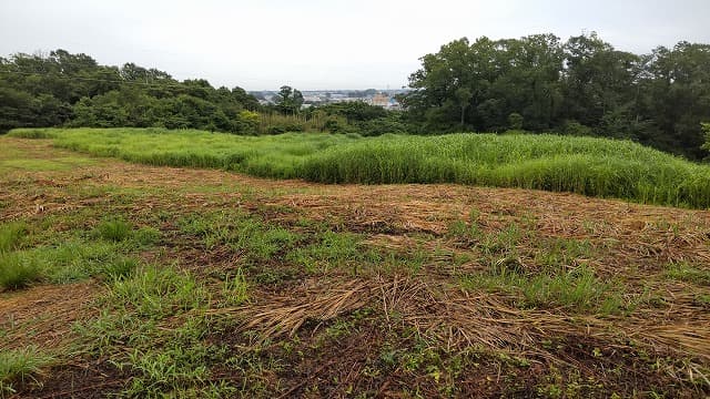 宮城県亘理郡の旅行で訪れた観光名所、三十三間堂官衙遺跡