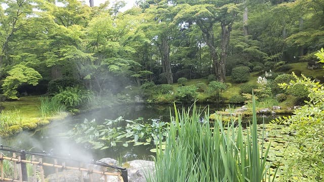 宮城県宮城郡の旅行で訪れた観光名所、遠州の庭