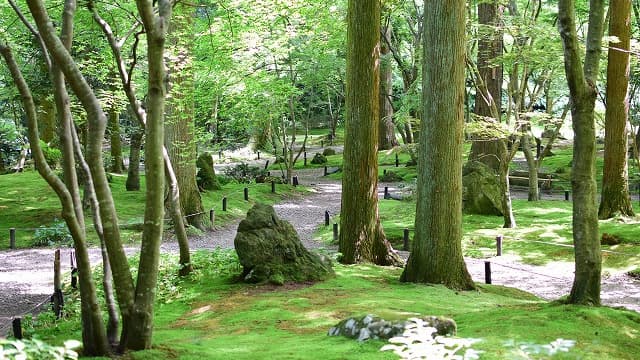 宮城県宮城郡の旅行で訪れた観光名所、三慧殿禅林瞑想の庭