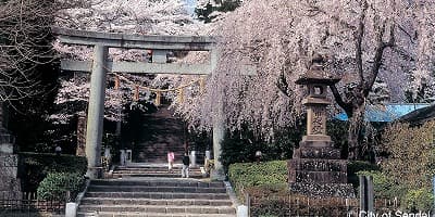 宮城県仙台市の旅行で訪れた観光名所、大崎八幡宮