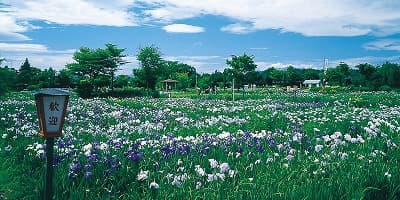 宮城県栗原市の旅行で訪れた観光名所、山王史跡公園