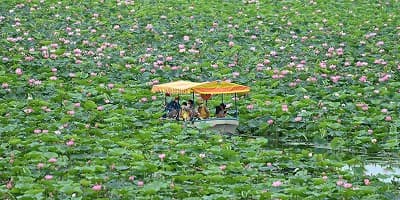 宮城県栗原市の旅行で訪れた観光名所、伊豆沼