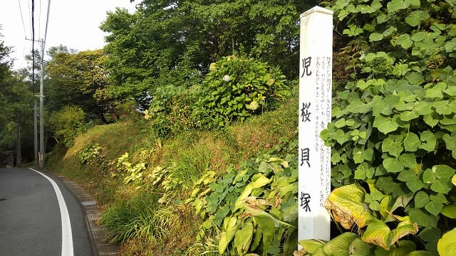 秋田県秋田市の旅行で訪れた観光名所、児桜貝塚