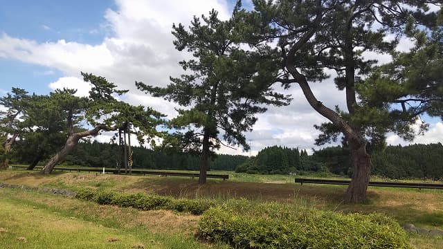 秋田県能代市の旅行で訪れた観光名所、大館跡＿松並木