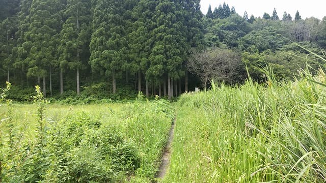 秋田県能代市の旅行で訪れた観光名所、茶臼館跡