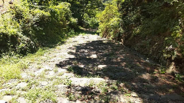 秋田県横手市の旅行で訪れた観光名所、横手公園（横手城）