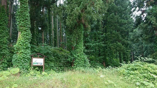 秋田県横手市の旅行で訪れた観光名所、大鳥井山遺跡