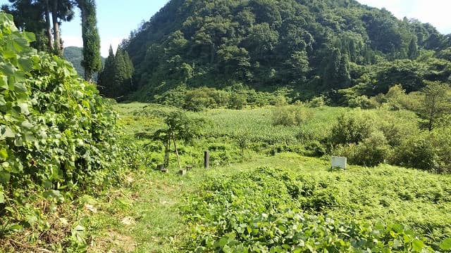 秋田県大館市の旅行で訪れた観光名所、矢立廃寺跡