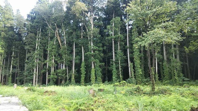 秋田県北秋田市の旅行で訪れた観光名所、伊勢堂岱遺跡＿縄文の森