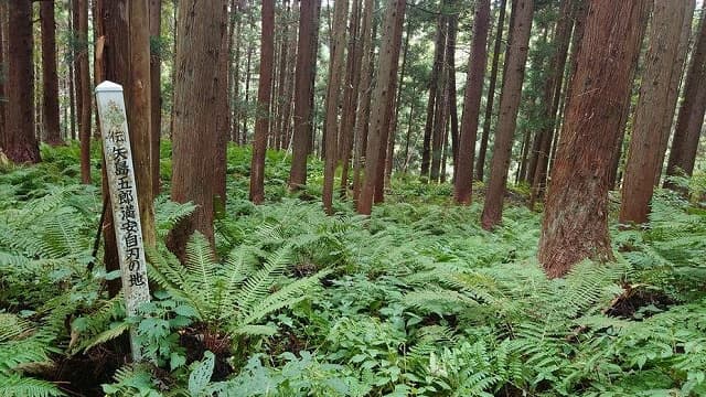 秋田県雄勝郡の旅行で訪れた観光名所、西馬音内城＿矢島五郎満安自刃の地