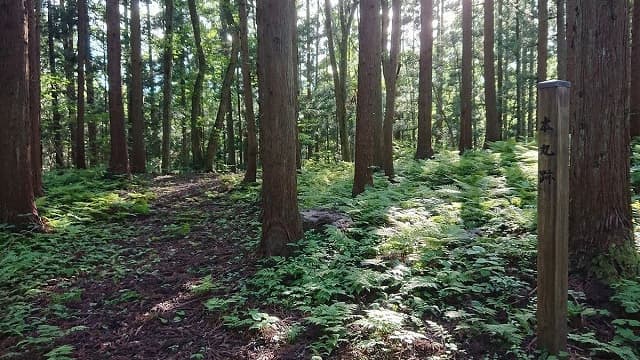 秋田県雄勝郡の旅行で訪れた観光名所、西馬音内城