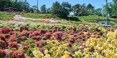 山形県寒河江市の旅行で訪れた観光名所、寒河江公園