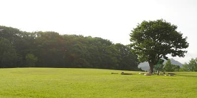 山形県西村山郡の旅行で訪れた観光名所、弓張平公園