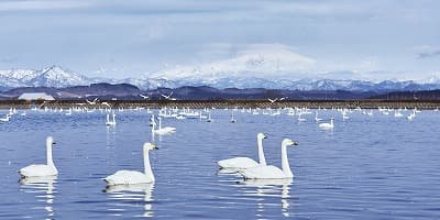 山形県最上郡の旅行で訪れた観光名所、野々村ため池