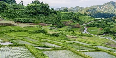 山形県最上郡の旅行で訪れた観光名所、四ケ村の棚田