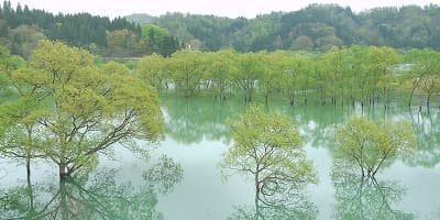 山形県西置賜郡の旅行で訪れた観光名所、白川ダム湖岸公園