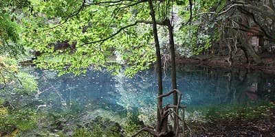 山形県飽海郡の旅行で訪れた観光名所、丸池様