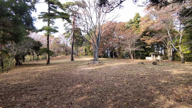 福島県白河市の旅行で訪れた観光名所、白川城（搦目城）