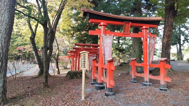 福島県須賀川市の旅行で訪れた観光名所、須賀川牡丹園＿牡丹稲荷神社