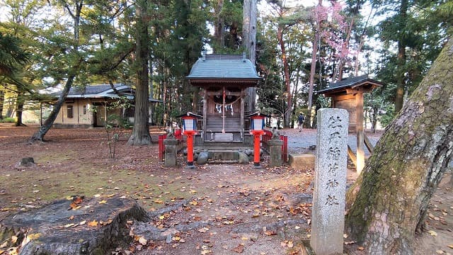 福島県須賀川市の旅行で訪れた観光名所、須賀川牡丹園＿牡丹稲荷神社