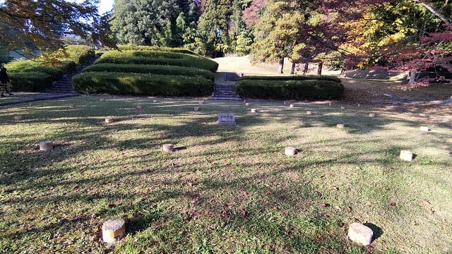 福島県須賀川市の旅行で訪れた観光名所、米山寺薬師堂跡