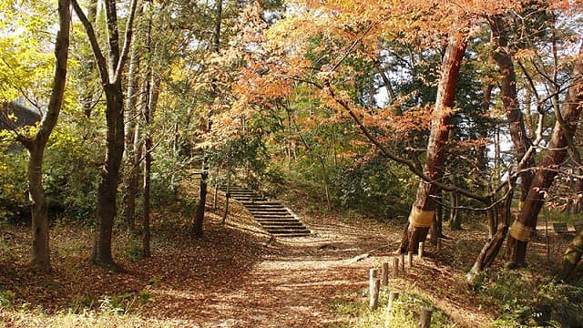 福島県須賀川市の旅行で訪れた観光名所、翠ヶ丘公園