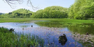 福島県大沼郡の旅行で訪れた観光名所、矢の原湿原