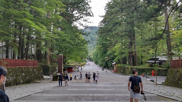 栃木県日光市の旅行で訪れた観光名所、日光杉並木街道