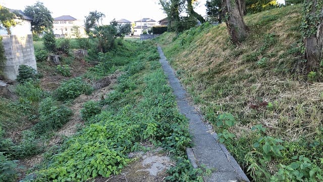 埼玉県熊谷市の旅行で訪れた観光名所、別府城跡の堀