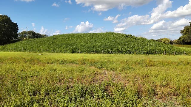 埼玉県行田市の旅行で訪れた観光名所、埼玉古墳群の瓦塚古墳